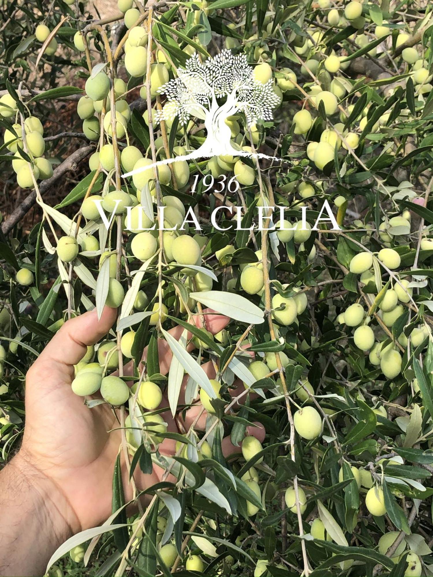 Il Palmento Di Villa Clelia 1936 Локри Екстериор снимка